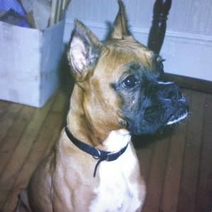 Meet your Posher, Matthew